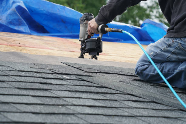 Best Roof Maintenance and Cleaning  in Bloomville, OH